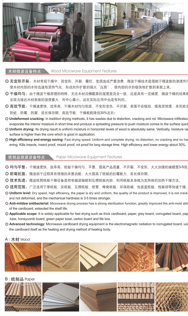 木材微波設備描述