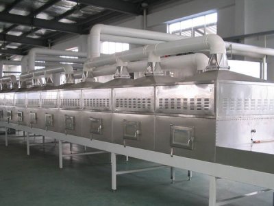 微波干燥設備的干燥原理你清楚嗎