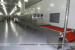 微波殺菌設備|滅菌與消毒