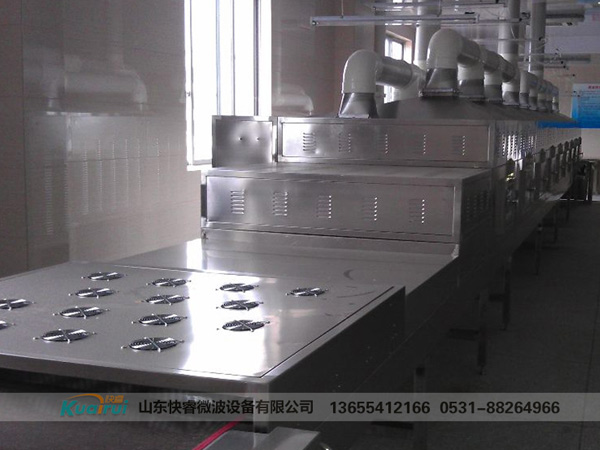 微波烘干設備
