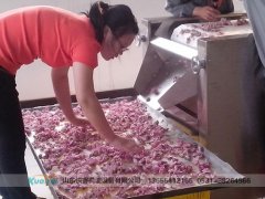 微波,干燥,技術,現在,各行各業,都,需要,微波, 