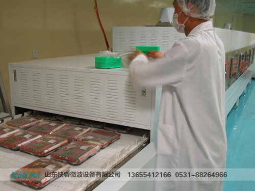 微波烘干設(shè)備
