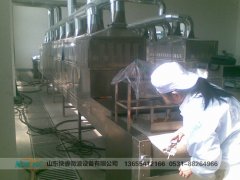 微波,殺菌,設備,可以,延長,醬菜,的,貨架,期, 