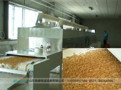 微波干燥設備行業生產規模小，建廠需謹慎!