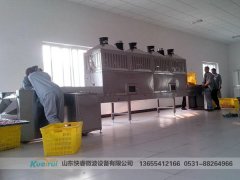 濟南微波干燥設備的材料選擇的四種方法