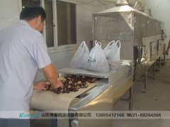 專業,微波,干燥設備,好處,甚多,對于,微波, 