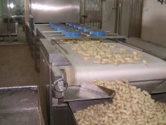 微波干燥設備的5個主要類型