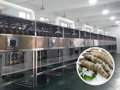 微波烘干設備 